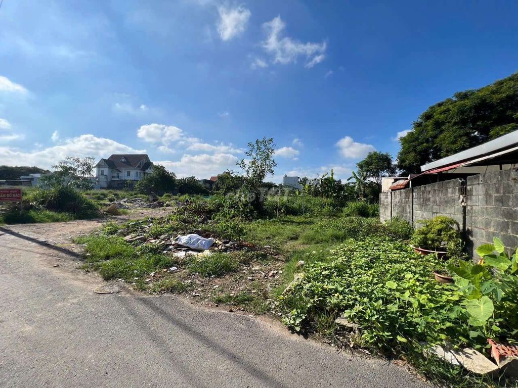 Đất biệt thự 456m ngang 7m gần BigC Go vào 900 p. Đông Hòa Tp. Dĩ An. Mua bán Đất tại Thành phố Dĩ An Bình Dương được đăng bởi Hậu Trần hình 3