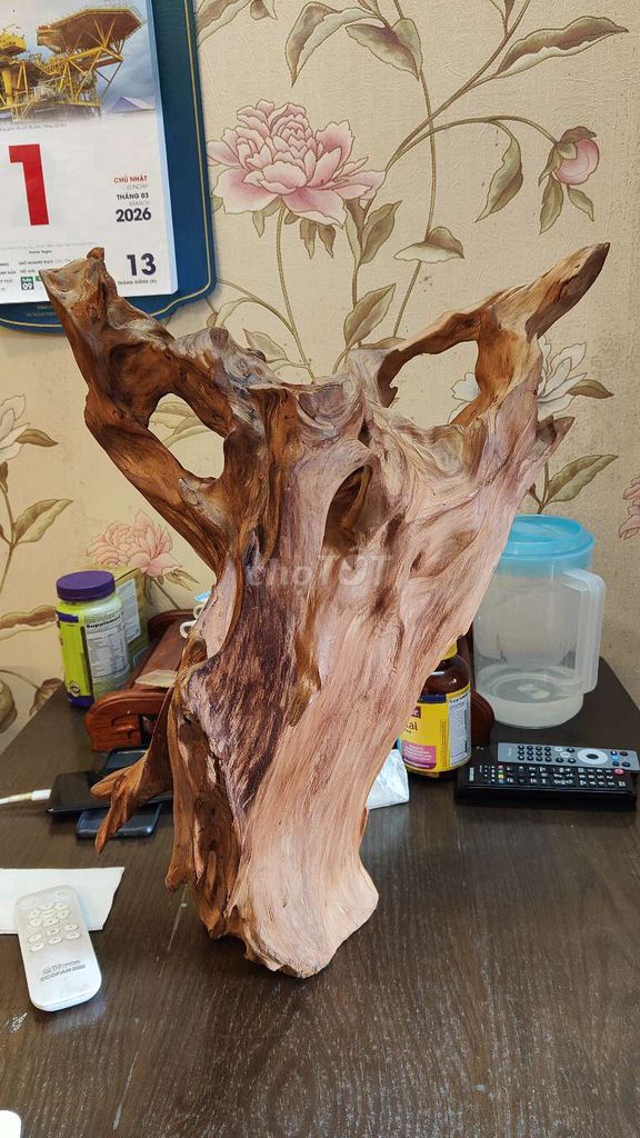 Lũa gỗ 45 x 55cm. Mua bán Cây cảnh, đồ trang trí tại Huyện Thanh Trì Hà Nội được đăng bởi Chu Đức Kiên hình 1