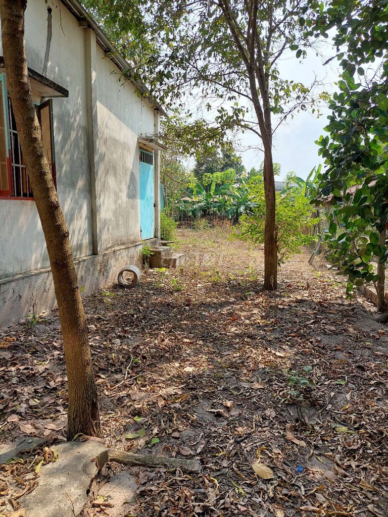 Đất sổ đỏ 501,7 m2 đường Hẻm 201 Xã Phú hòa Đông H. Củ Chi TP.HCM