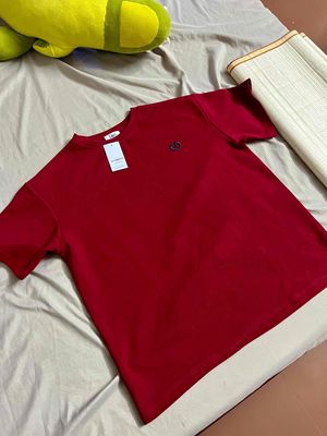 Pass Áo thun Lenclothing freesize MỚI