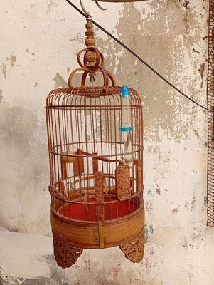 Lồng tre. Mua bán Phụ kiện, Thức ăn, Dịch vụ tại Quận Phú Nhuận Tp Hồ Chí Minh được đăng bởi Hai thien