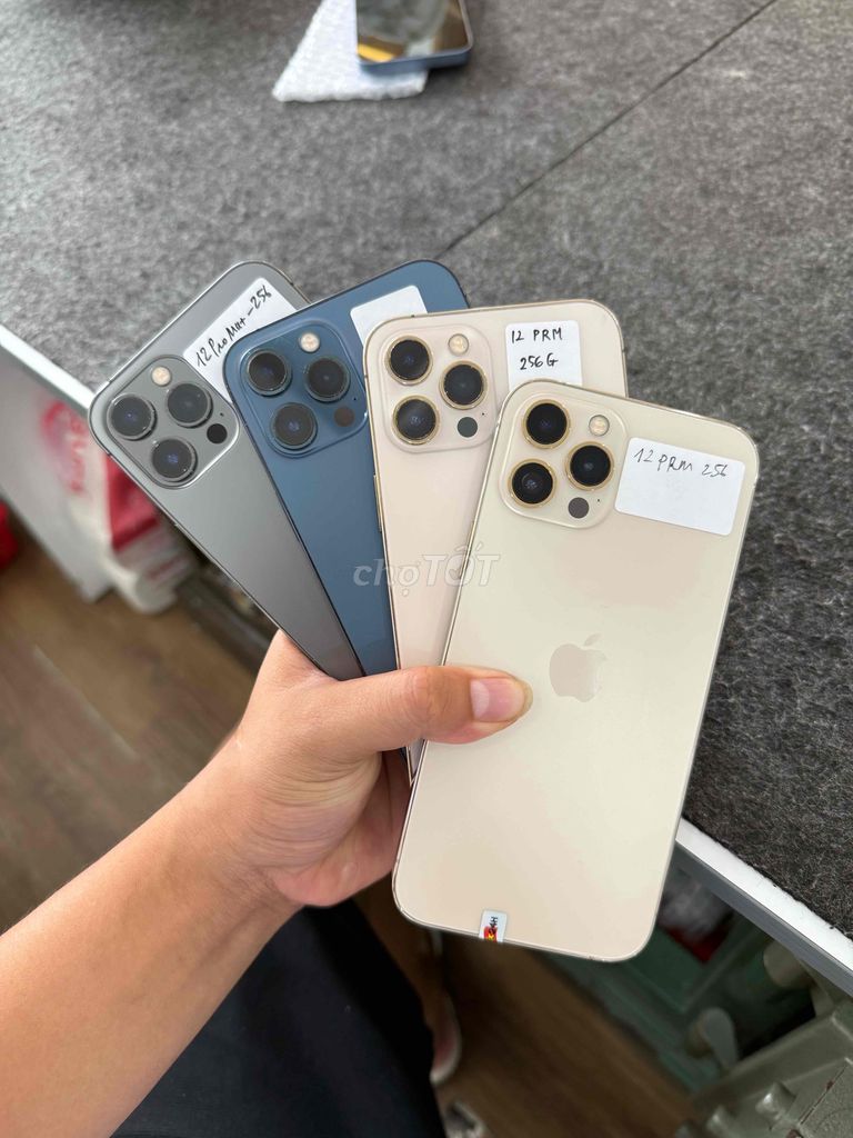 🌸iPhone 12 Pro Max Quốc Tế 256Gb zin keng pin 90%. Mua bán Điện thoại tại Thành phố Thanh Hóa Thanh Hóa được đăng bởi Talk 24H Mobile 146 Quang Trung hình 1