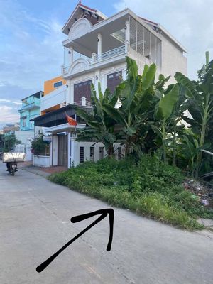 Bán đất tại Thượng Vũ, Kim Thành, Hải Dương(8m mặt đường). Mua bán đất tại Huyện Kim Thành Hải Dương được đăng bởi Hoàng Dương