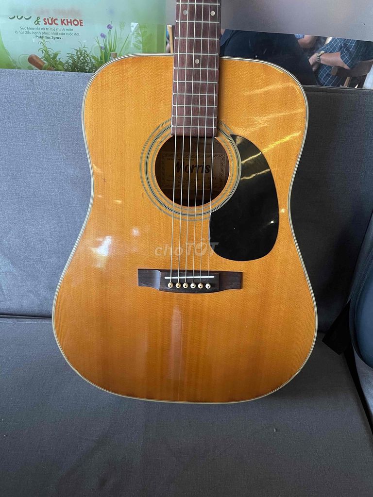 Guitar morris W 25 Hàng Nhật