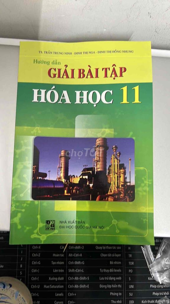 Sách hướng dẫn giải bài tập hoá học 11