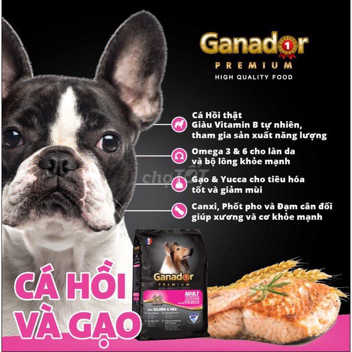 3KG Thức Ăn Hạt Cho Chó Ganador Vị Cá Hồi & Gạo