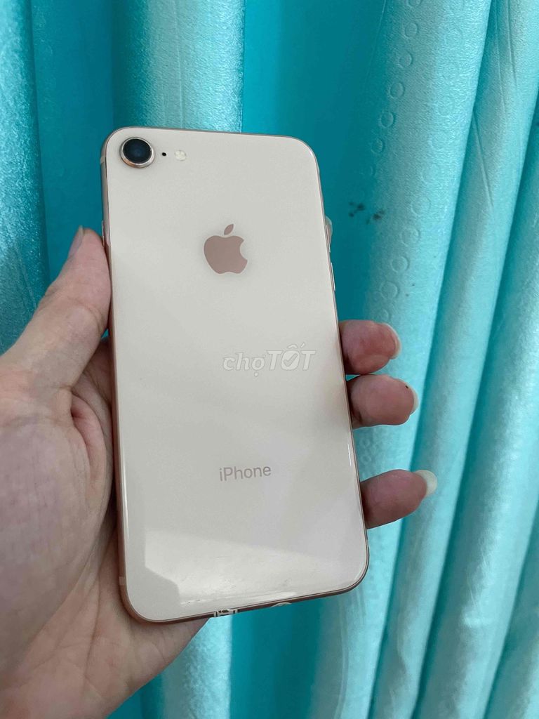 iPhone 8 256GB Vàng, IOS thấp 16. Mua bán Điện thoại tại Quận Tân Bình Tp Hồ Chí Minh được đăng bởi Trần Gia Hưng hình 1