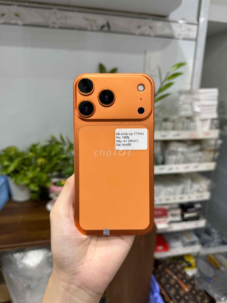 Apple iPhone Xr 64GB độ 17 Pro Cam 📲. Mua bán Điện thoại tại Huyện Hóc Môn Tp Hồ Chí Minh được đăng bởi Luân Hoài hình 1