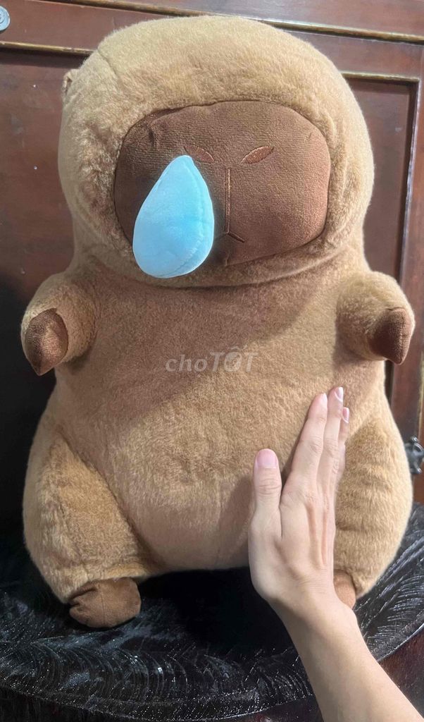 Gấu bông Capybara Nâu 50cm Mới 95%. Mua bán Sở thích khác tại Thành phố Châu Đốc An Giang được đăng bởi Lê Bình Cầm Đồ 2 hình 1