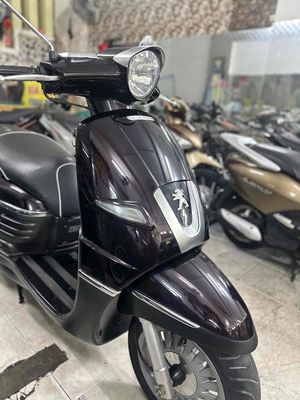 Peugeot Django 2019 Nâu