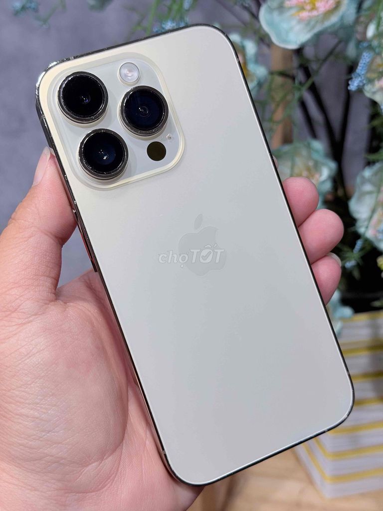 14pro Gold qt Pin cao 93% bán có Gl + Góp icloud.. Mua bán Điện thoại tại Thành phố Biên Hòa Đồng Nai được đăng bởi HUNG  hình 1