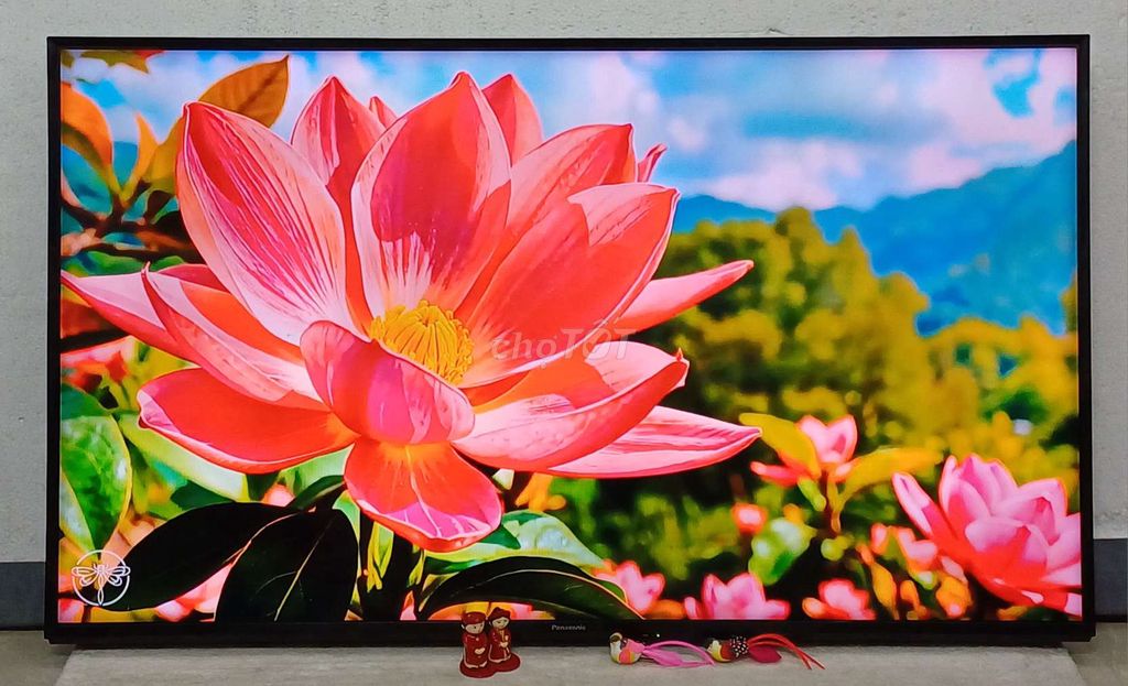 Tivi wifi Panasonic 55 inch sáng đẹp loa hay. Mua bán Tivi, Âm thanh tại Quận Ninh Kiều Cần Thơ được đăng bởi Luật Nguyễn hình 1