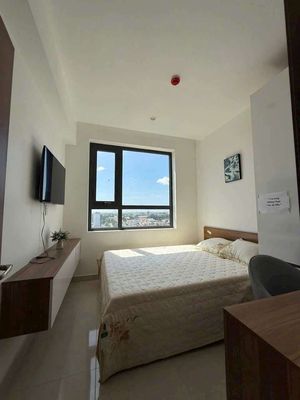 cho thuê căn hộ, chung cư giá rẻ