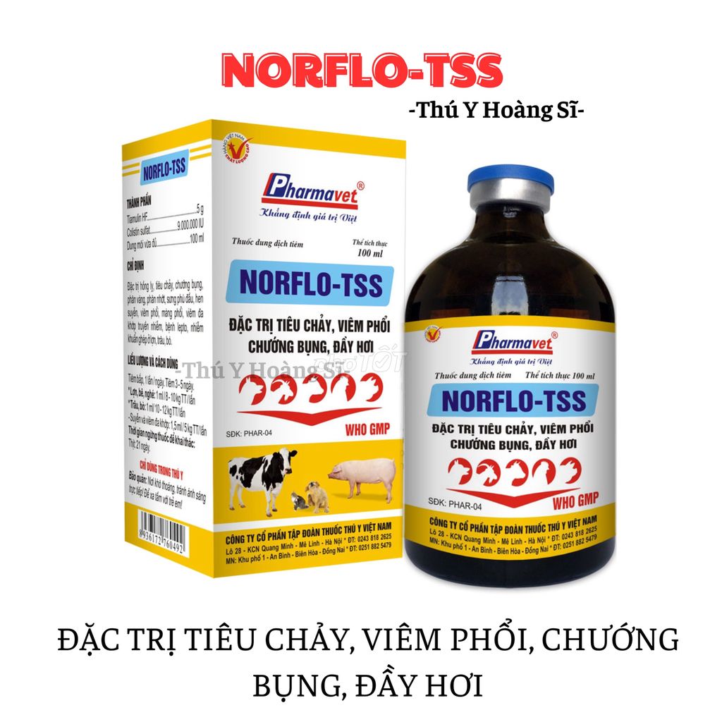 NORFLO-TSS Chửa tiêu chảy, viêm phổi, chướng bụng