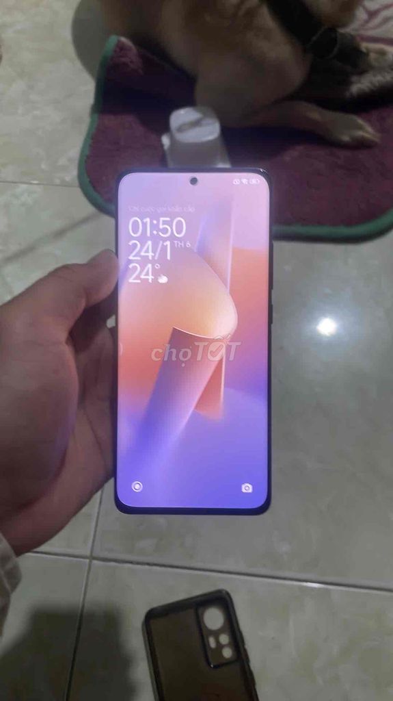 xiaomi 12