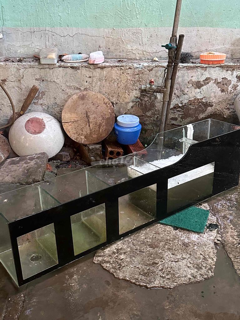 Lọc bể cá Kính 90cm Đã dán keo. Mua bán Phụ kiện, Thức ăn, Dịch vụ tại Thành phố Thuận An Bình Dương được đăng bởi m hình 1