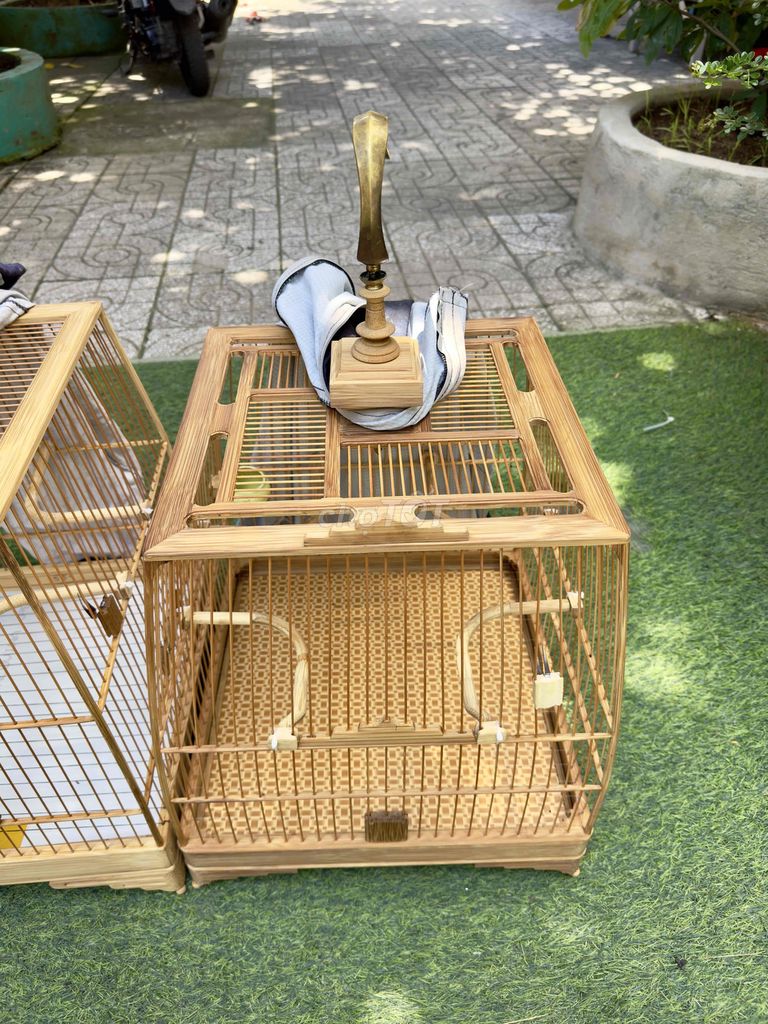 Lồng chim Tre già Thái đấu Full phụ kiện. Mua bán Phụ kiện, Thức ăn, Dịch vụ tại Huyện Hóc Môn Tp Hồ Chí Minh được đăng bởi Võ phương phước thành hình 1