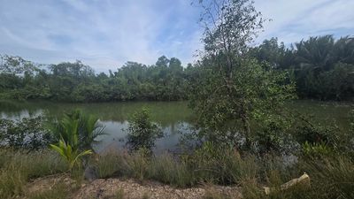 Bán Đất 1.600m² + 700m2 đất giấy tay mặt tiền đường nhựa An Thới Đông