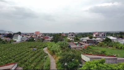 Bán Đất Hàm Minh (kv chợ Đảo)