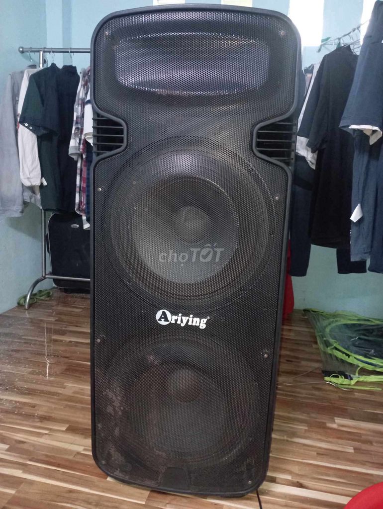 Loa kéo ariying 650w bass đôi 40