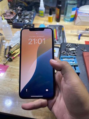 Apple iPhone XS Max Đen