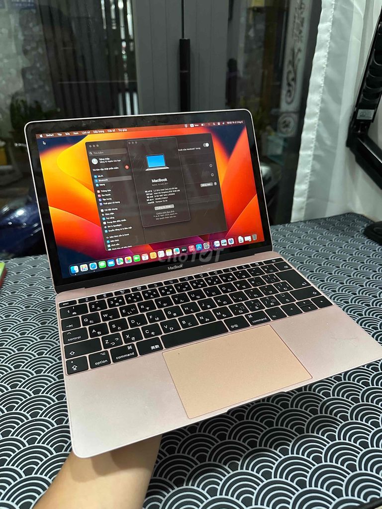 Apple MacBook Retina 2017 Vàng hồng. Mua bán Laptop tại Quận Gò Vấp Tp Hồ Chí Minh được đăng bởi Trí hình 1