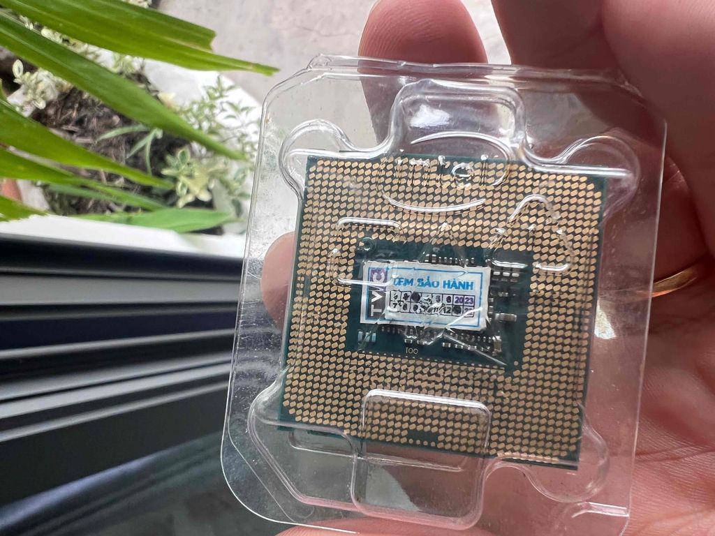 bán cpu i3 6100t