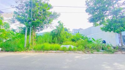 Cho thuê đất 345 m2 khu Long Thịnh 10  triệu