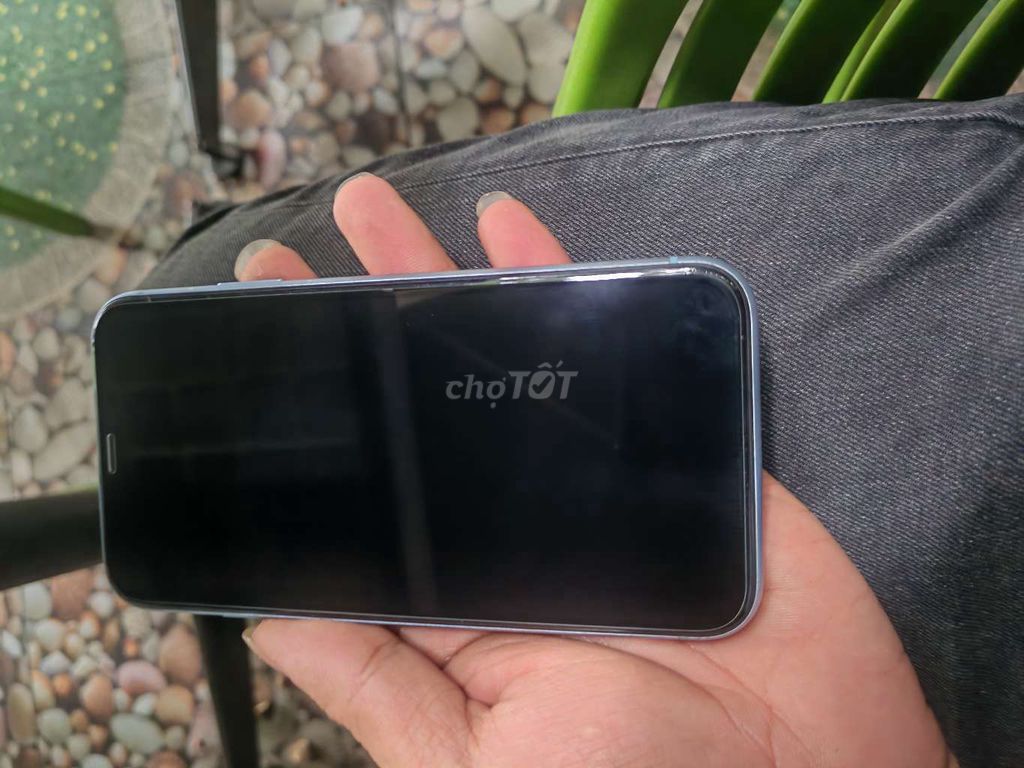 IPhone XR 64GB Xanh quốc tế zin all. Mua bán Điện thoại tại Quận Bình Tân Tp Hồ Chí Minh được đăng bởi V I N H hình 1