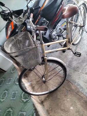 Xe đạp hàng xịn