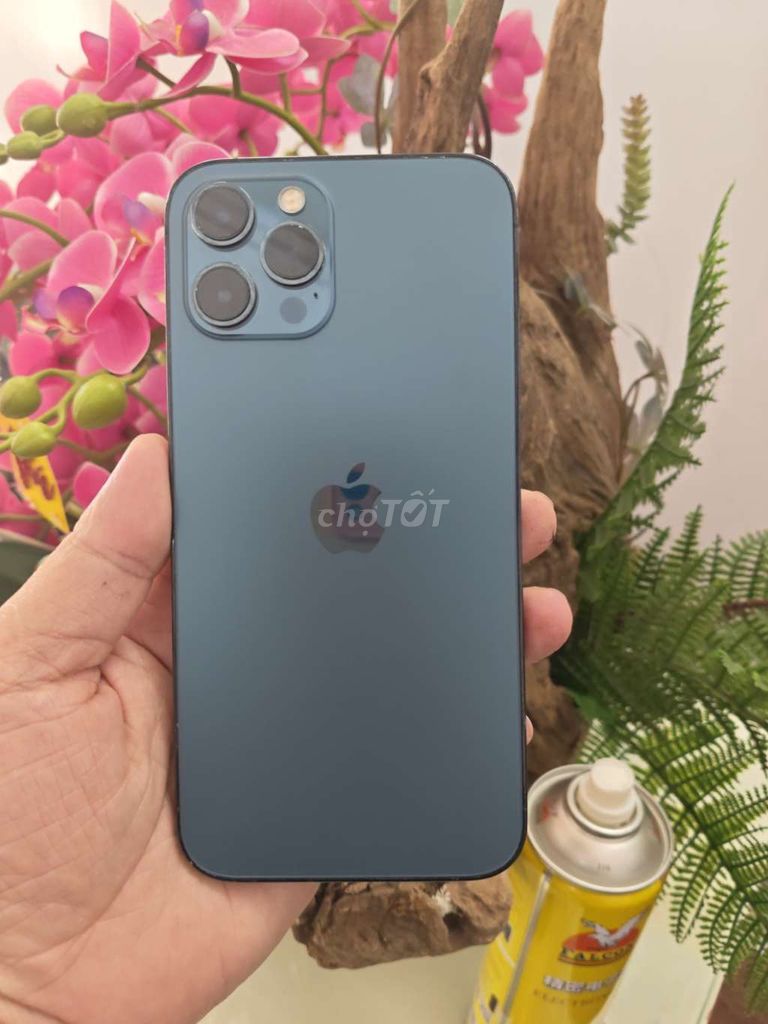 Apple iPhone 12 Pro Max 256GB Xanh quốc tế . Mua bán Điện thoại tại Thành phố Buôn Ma Thuột Đắk Lắk được đăng bởi Tèo Điện Thoại  hình 1