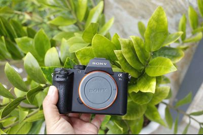 SONY A7S II. Mua bán Máy ảnh, Máy quay tại Thành phố Long Xuyên An Giang được đăng bởi Nguyễn Thị Bích Vân
