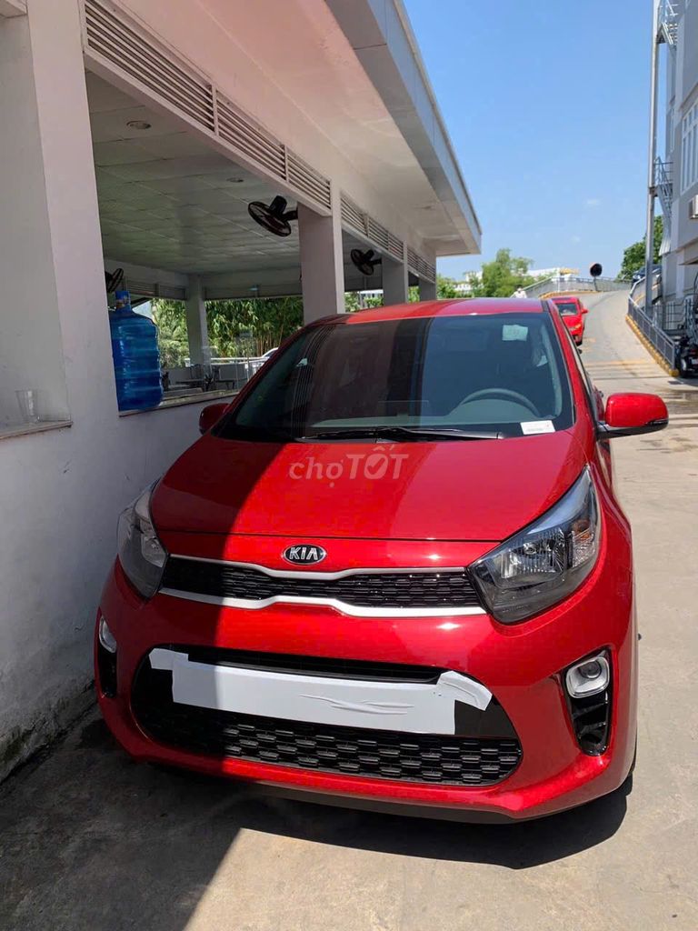 Kia Morning 2025 MT  giá Giảm tiền mặt - sẵn xe. Mua bán Ô tô tại Quận Gò Vấp Tp Hồ Chí Minh được đăng bởi Phụng KIA MAZDA GÒ VẤP hình 1