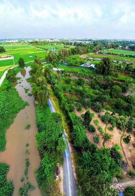Nhà vườn 1.200m² mặt tiền Kênh C20 có sẵn nhà, ao, vườn cây ăn trái. Mua bán đất tại Huyện Củ Chi Tp Hồ Chí Minh được đăng bởi Duy Cường