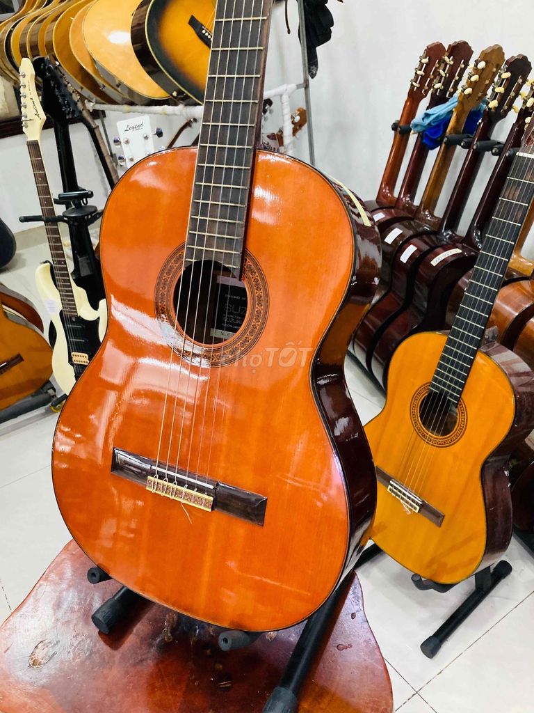 Guitar Classic suzuki nhật