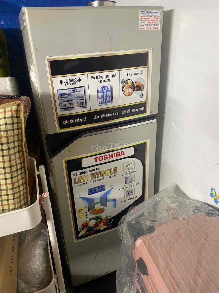 Tủ lạnh Toshiba Panorama. Mua bán Tủ lạnh tại Quận Thanh Xuân Hà Nội được đăng bởi Hoàng Tôn hình 1