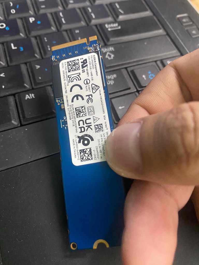 SSD Nvme 256G Kioxia zin máy Hp chuẩn us Win 10