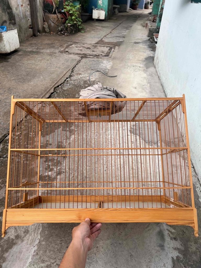 Lồng lực gỗ thông 60cm. Mua bán Phụ kiện, Thức ăn, Dịch vụ tại Quận Gò Vấp Tp Hồ Chí Minh được đăng bởi chikato hình 1