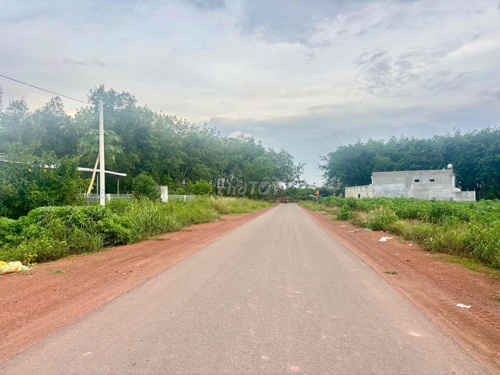 MẶT TIỀN NHỰA - SÁT TRUNG TÂM - 225m2 XÂY TRỌ, GẦN TUYẾN 4. Mua bán đất tại Huyện Đồng Phú Bình Phước được đăng bởi Ánh Vũ hình 2
