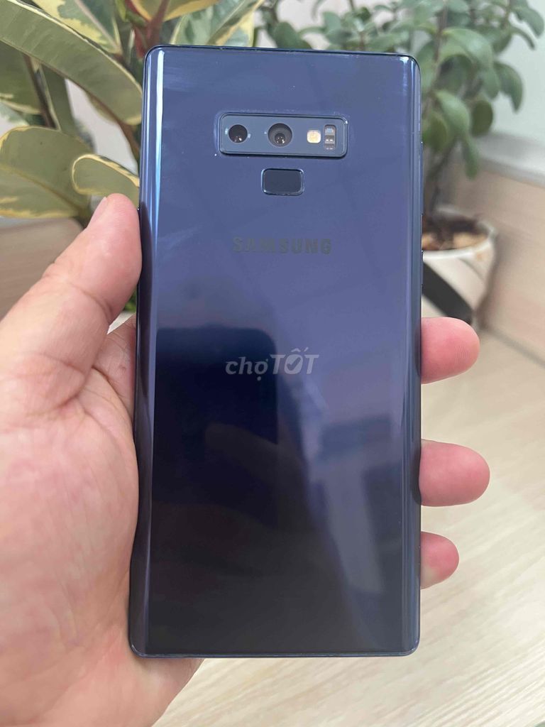 Samsung Galaxy Note 9 rin chất