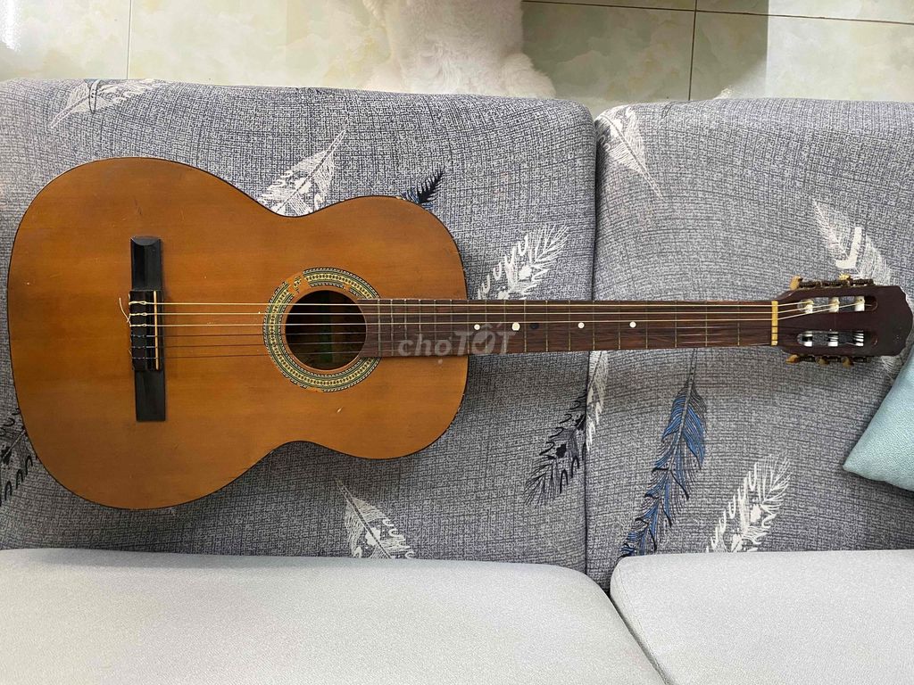 Đàn guitar Lake Classic Nhật Bản Nâu. Mua bán Nhạc cụ tại Quận Liên Chiểu Đà Nẵng được đăng bởi minh nguyễn hình 1