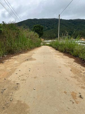 Cần bán đất Thôn KTM Châu Sơn, Lạc Xuân, Đơn Dương chỉ 520tr/sào. Mua bán đất tại Huyện Đơn Dương Lâm Đồng được đăng bởi Vân Huỳnh