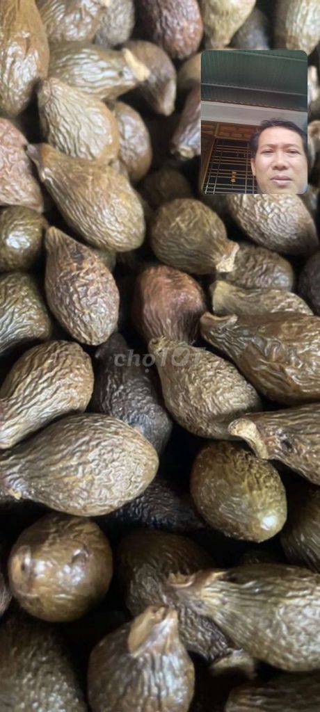 Ươi bay vài ký. Mua bán Đồ ăn, thực phẩm và các loại khác tại Huyện Sông Hinh Phú Yên được đăng bởi đặng chánh hưng hình 1