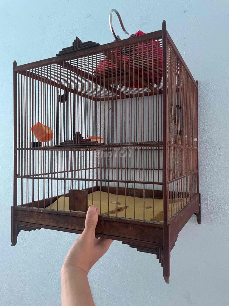 Lồng chim gỗ đã sử dụng. Mua bán Phụ kiện, Thức ăn, Dịch vụ tại Quận Liên Chiểu Đà Nẵng được đăng bởi Hùng hình 1