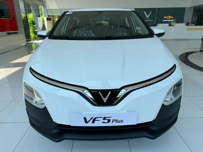 VinFast VF5, vay 85% giá trị xe, kể cả biển VÀNG