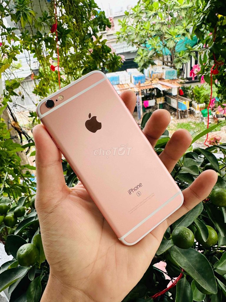 Apple iPhone 6S 64GB Vàng hồng đẹp 99%. Mua bán Điện thoại tại Quận 12 Tp Hồ Chí Minh được đăng bởi Nguyễn Văn Vang hình 1