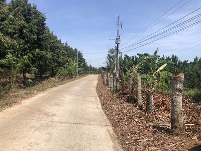 Đất Vườn mới tách sổ có 80m2TC - Gần KDL Suối Mơ - Chưa Qua Đầu Tư.