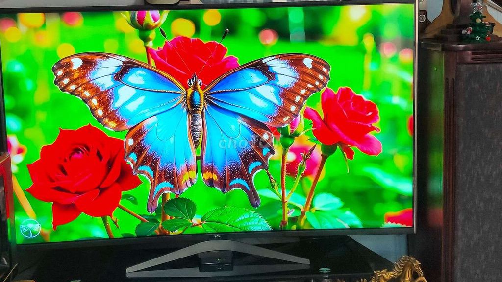 smart tv TCL 43IN 4K giọng nói belutooth youtube l. Mua bán Tivi, Âm thanh tại Huyện Bình Chánh Tp Hồ Chí Minh được đăng bởi Pham vinh hình 1