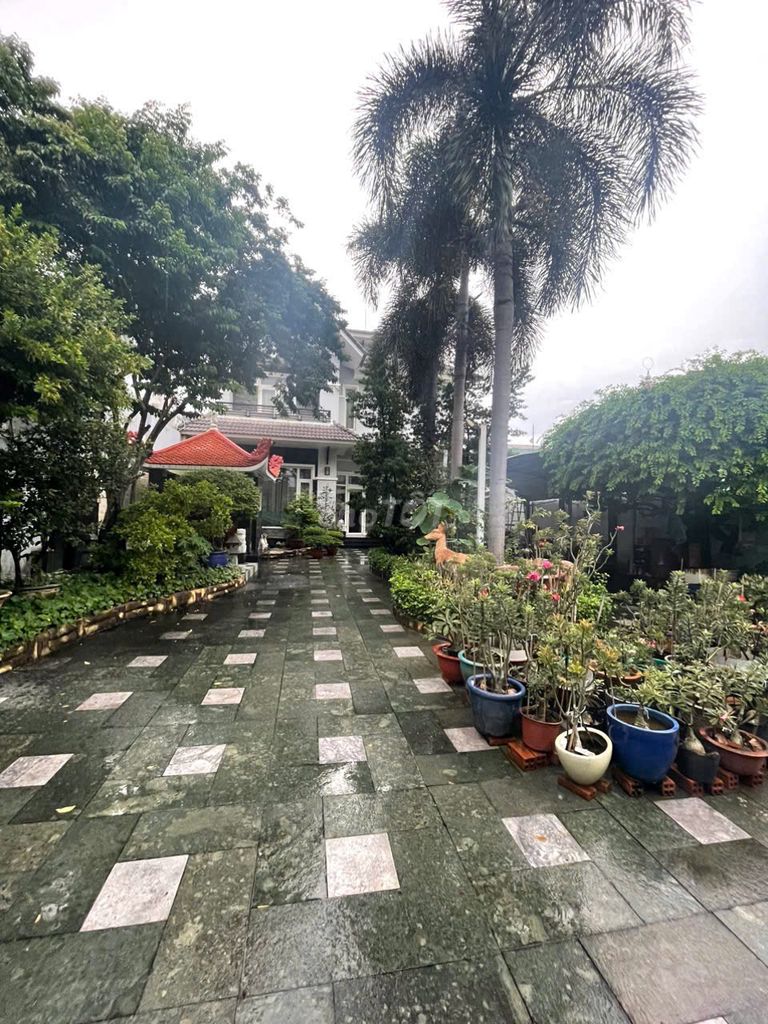 ❤️ CHO THUÊ BIỆT THỰ 379 THỐNG NHẤT – PHƯỜNG 11, GÒ VẤP, TP.HCM 