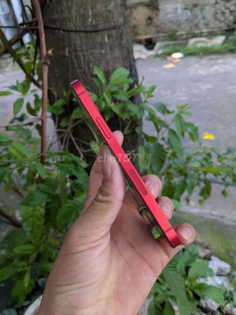 Apple iPhone 12 64GB Đỏ. Mua bán Điện thoại tại Huyện Hàm Thuận Bắc Bình Thuận được đăng bởi cù lằn hình 1